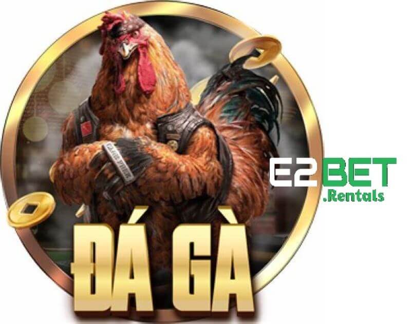 Đá Gà E2bet - Sân Chơi Đá Gà Thomo Trực Tuyến Uy Tín #1
