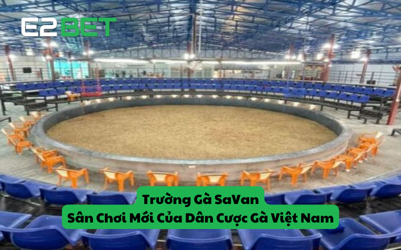 Trường Gà SaVan – Sân Chơi Mới Của Dân Cược Gà Việt Nam